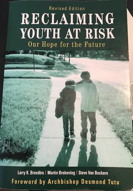 Reclaiming Youth At Risk Book Cover